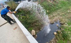 Edremit Belediyesi Su Kaplumbağalarının Yaşam Alanına Su Takviyesi Yaptı