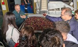 Ayvalık MYO Öğrencileri, Özgün Zeytincilik Fabrikası’nda Üretim Süreçlerini Yerinde İnceledi