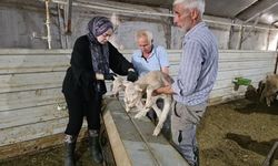 Kepsut Belediyesi’nin 28-29 Kasım Faaliyetleri