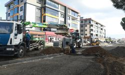 Burhaniye Belediyesi İlçe Genelinde Çalışmalara Ara Vermiyor