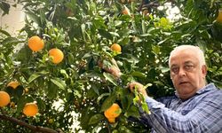 Dalında 50 kuruş, rafında 60 lira! Bu fiyat uçurumu kime yarıyor?