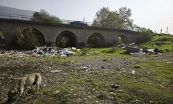 Üzümcü Deresi çöplüğe döndü! Altıeylül'de kirlilik alarmı...