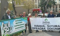 Turplu Altın Madeni Davası: Çevreciler Mahkemeden İptal Kararı Bekliyor