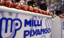 Milli Piyango Yılbaşı Büyük İkramiyesi Belli Oldu: Tam 800 Milyon TL!