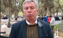 Hem korkuyorlar hem izliyorlar!