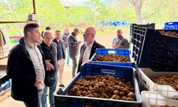 Serkan Sarı'dan Tarım Bakanı'na çağrı: Gelin üreticinin halini görün