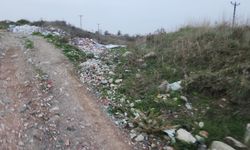 Vatandaş atıyor, Belediye bakıyor!