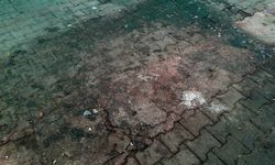 Ara sıra dolaşıyor musunuz bu şehri?