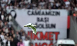 Sahadaki Martı Sosyal Medyayı Salladı! Beşiktaş Efsanesi Seba'nın Sözleri Yeniden Gündem Oldu!