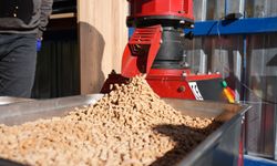 Büyükşehir, can dostların mamasını kendi üretiyor