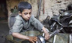 Çocuk işçiliğinde sıfır tolerans!