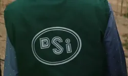 DSİ 1389 Personel Alacak! Başvuru Şartları ve Alım Yapılacak Kadrolar Açıklandı