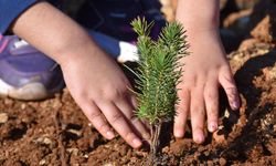 Balıkesir’de “Yeşil Vatan Seferberliği! Fidanlar toprakla buluşacak
