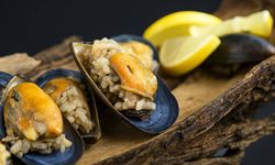 Gıda Zehirlenmesinde “24 Saat” Uyarısı! Hangi Belirtiler Tehlikeli?