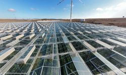 Balıkesir Türkiye’nin Tarım Üssü Oluyor! Organize Tarım Bölgelerine 6 Milyar Liralık Dev Destek!