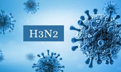 H3N2 Virüsü Nedir? Covid-19'dan Daha mı Bulaşıcı? Belirtileri Neler? Nasıl Bulaşır?