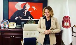 Yeni HSK Üyesi Havvanur Yurtsever Kimdir, Nerelidir? İşte Merak Edilen Kariyeri: