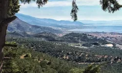 Edremit Körfezi'nin mikroklima büyüsü