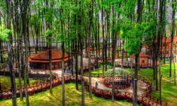 BALIKESİR ORMAN İŞLETME MÜDÜRLÜĞÜ’NDEN