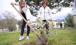 Edremit'te İda Ultra'ya yeşil başlangıç