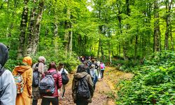 24 Kasım’a Özel Doğa Yürüyüşü! Balıkesir’de Öğretmenler Çataldağ’da Buluşuyor