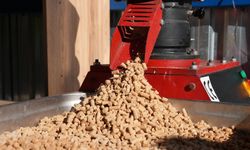 Büyükşehir Can Dostların Mamasını Kendi Üretiyor!