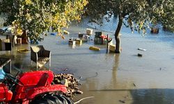 OSB dolgusu felaket getirdi! Akçay Sazlığında yıkım... Hayvanlar telef oldu!