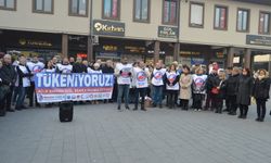 Birleşik Kamu-İş iş bıraktı: Bu bütçede de yer bulamadık