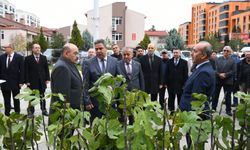 Balıkesir'de tarım arazileri incirle canlanacak