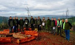 Kirazköy Orman Yangın Sahasında İnceleme Gerçekleştirildi