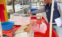 Marmara’da Su Ürünleri Denetimleri Aralıksız Sürüyor