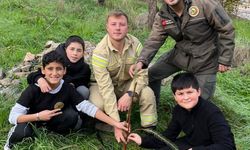 “Yeşil Vatan – Benim Okulum Geleceğe Çare” Fidan Dikim Etkinliği Düzenlendi