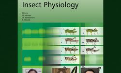 Küresel Isınma Tarımı Tehdit Ediyor: BAÜN Akademisyenlerinden Zararlılar ve Yararlı Türler Üzerine Çarpıcı Bulgular