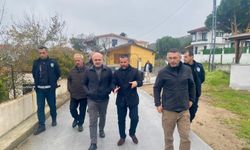 Marmara Adalar Belediyesi Yol Düzenleme Çalışmaları Avşa’da Sürüyor