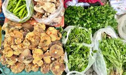 Şehrin telaşını bir kenara bırakın; doğallığın kalbi Havran’da atıyor!