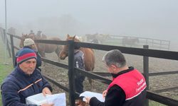 Balıkesir’de Safkan Arap ve İngiliz Atlarında Sağlık Taraması ve Aşılama Çalışmaları Sürüyor