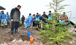 Balıkesir’de Yangın Sonrası Ağaçlandırma Çalışmaları: Pamukçu Hatıra Ormanı Yeniden Yeşeriyor
