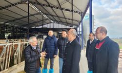 Balıkesir’de Modern Çiftlikler Sürdürülebilir Üretime Güç Katıyor