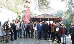 Balıkesir’de Organik Zeytin Köyü Projesi Büyüyor