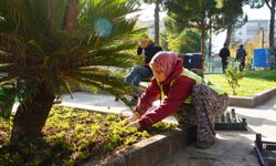 Edremit Belediyesi Parklarda Peyzaj Bakım Çalışmalarını Sürdürüyor