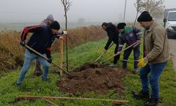 Bigadiç’in Girişine Yeni Bir Yeşil Dokunuş