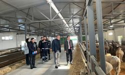 Kepsut’ta Saha İncelemeleri Gerçekleştirildi