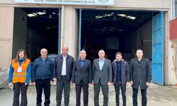 Balıkesir Hayvancılıkta 6 Branşta Uzmanlaşıyor