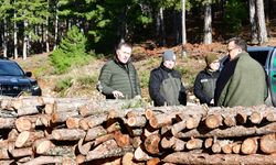 Balıkesir Orman Bölge Müdürü Musa Şen, Edremit’te Çalışmaları Yerinde İnceledi