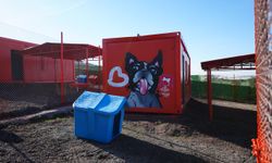 Balıkesir’den Türkiye’ye Örnek Proje!