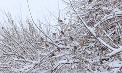 Hakkari’de Kar Yağışı Son Dakika! Kent Beyaza Büründü!