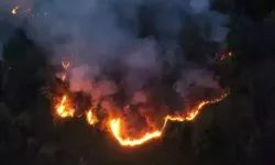 Artvin Hopa’da Örtü Yangını Ormana Sıçradı! 5 Hektarlık Alan Alevlere Teslim Oldu!