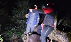 Mantar toplamaya gitmişti, ormanda kayboldu.. İşte son durum!