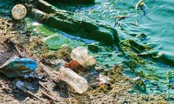 2026'da Çevreyi Kirleten Yandı! Egzoz Ölçümü Yaptırmayan 17 Bin TL, Yere Çöp Atan 8 Bin TL Ödeyecek...