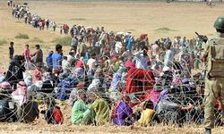 Dünyanın Vicdanı Çöktü: Savaşlar, Soykırımlar ve Göçler İnsanlığı Nereye Sürüklüyor?